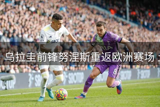 乌拉圭前锋努涅斯重返欧洲赛场 土超豪门抛橄榄枝