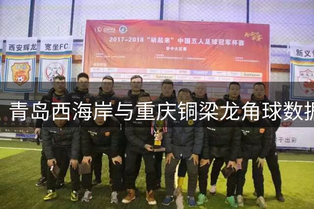 青岛西海岸与重庆铜梁龙角球数据对比分析